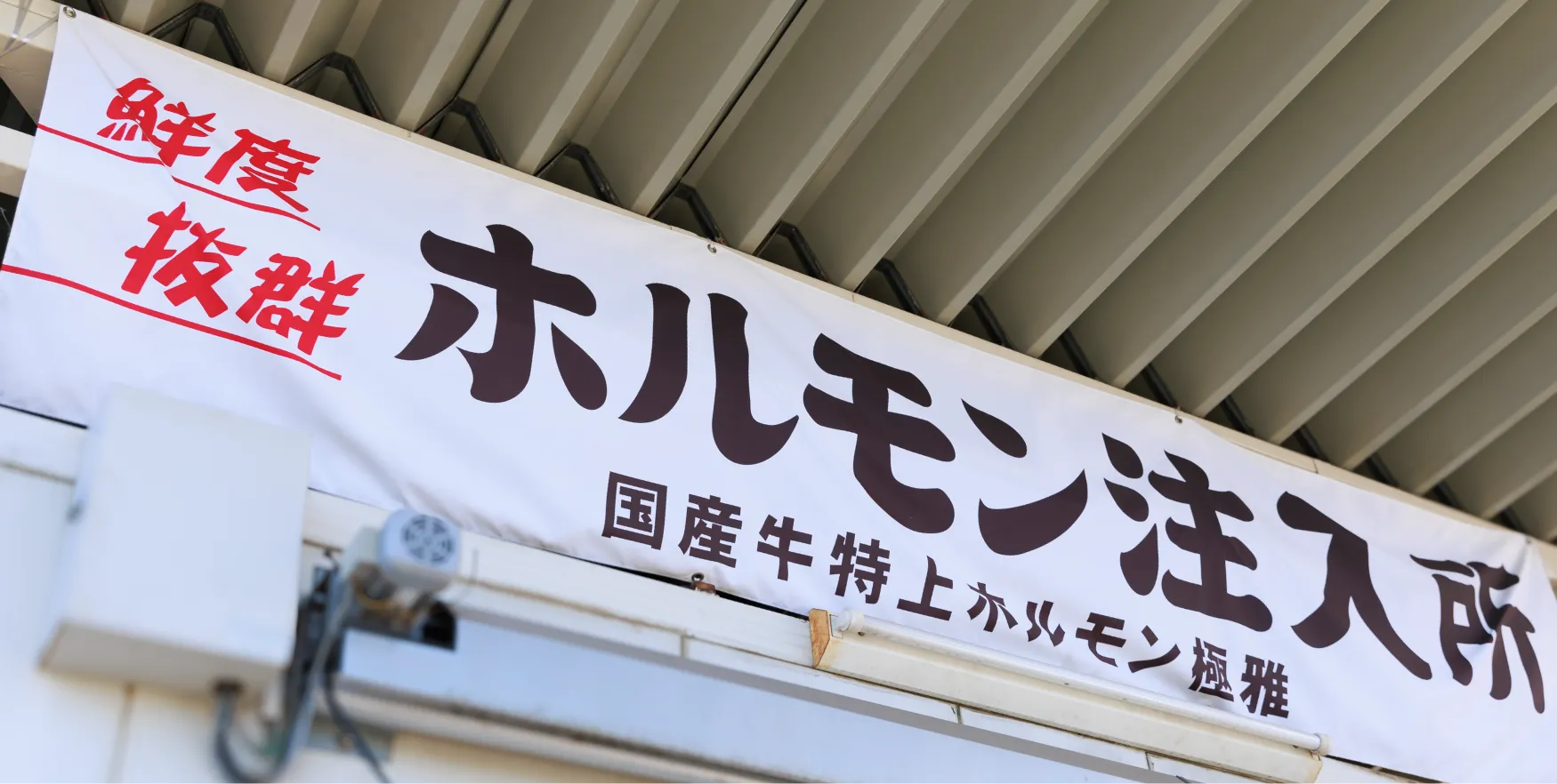 国産牛ホルモン通信販売「極雅」