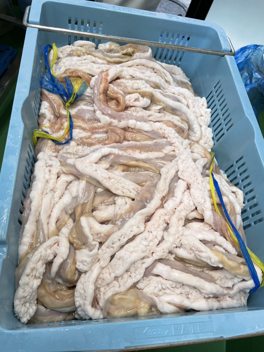 千葉から直送される圧倒的な鮮度。産地と食卓を結ぶ、信頼の輝き。