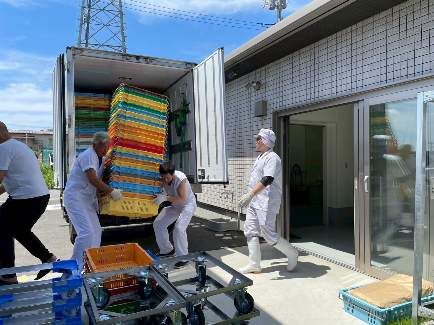 引っ越しが始まりました